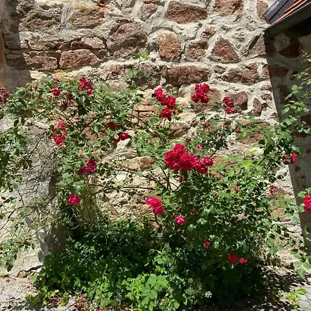 Guest house Gaestehaus Maelzerei Auf Schloss Neuburg Am 3*